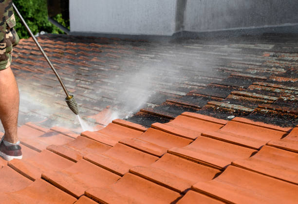 Best House Pressure Washing  in Marlette, MI