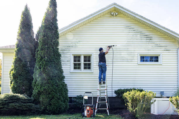 Professional Pressure Washing in Marlette, MI