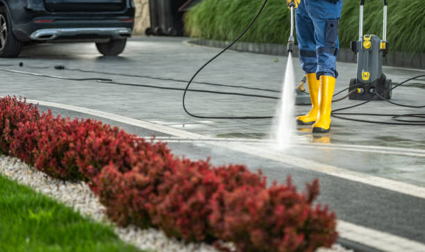 Best Deck Cleaning Services  in Marlette, MI