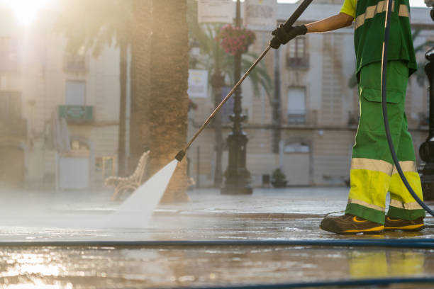 Best Power Washing Near Me  in Marlette, MI